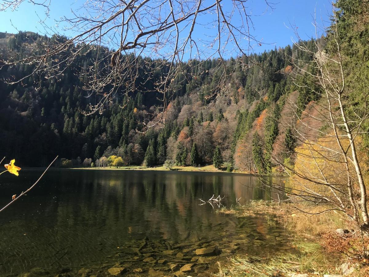 Feldberg Lounge - Residenz Grafenmattアパートメント エクステリア 写真